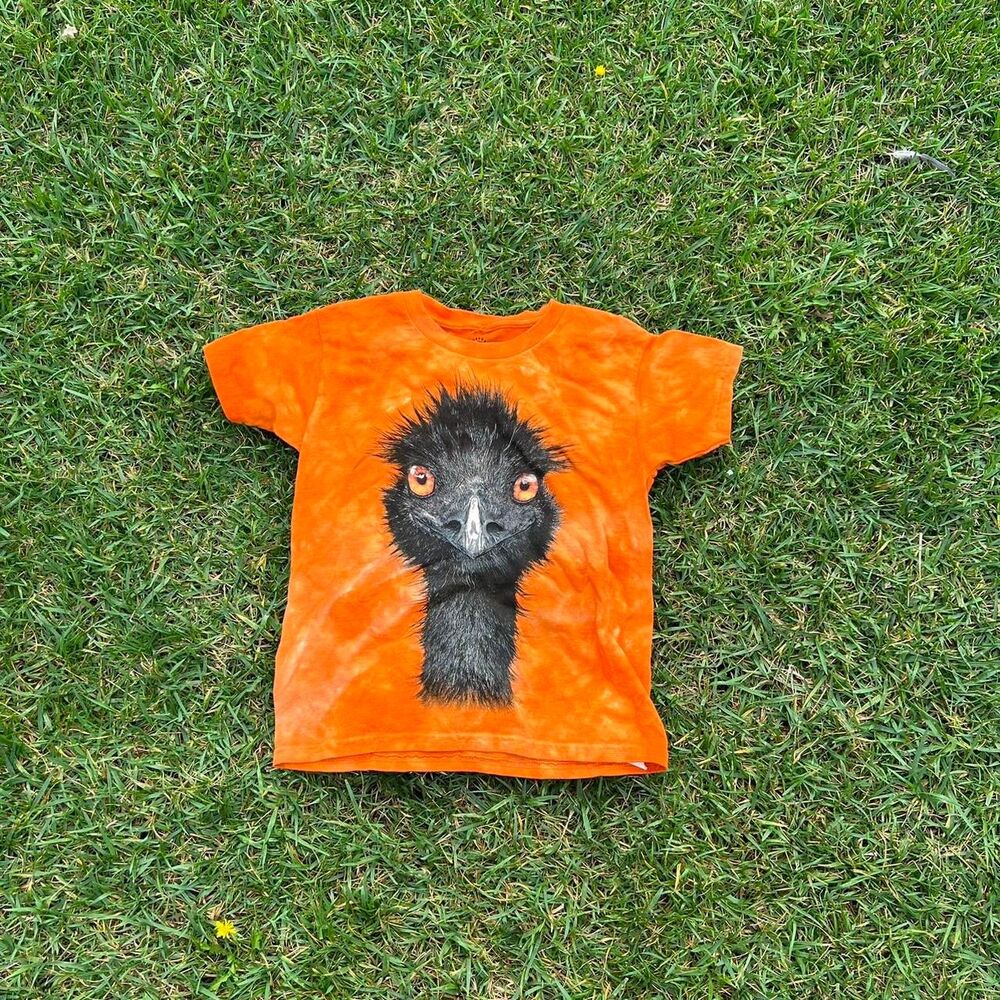 Emu the mountain tee youth boys size s